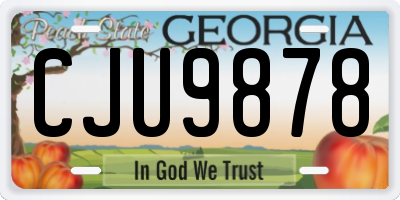 GA license plate CJU9878