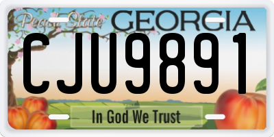 GA license plate CJU9891