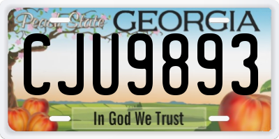 GA license plate CJU9893