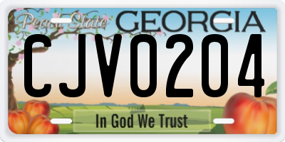 GA license plate CJV0204