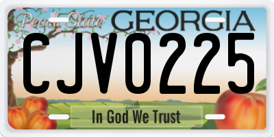 GA license plate CJV0225