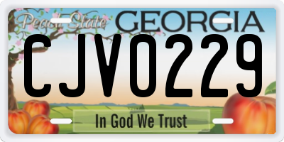 GA license plate CJV0229