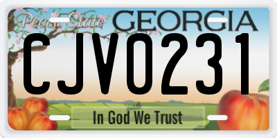 GA license plate CJV0231