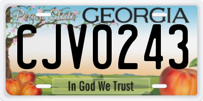 GA license plate CJV0243