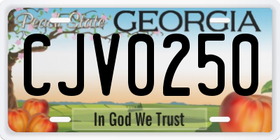 GA license plate CJV0250
