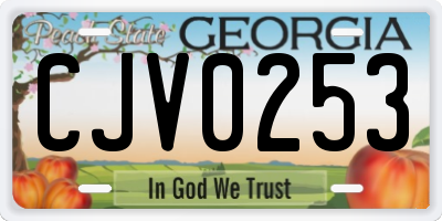 GA license plate CJV0253