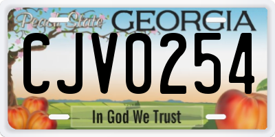 GA license plate CJV0254
