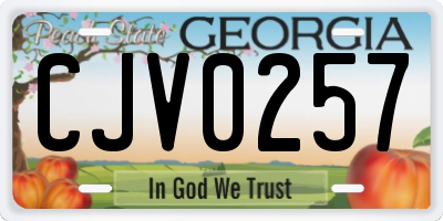 GA license plate CJV0257