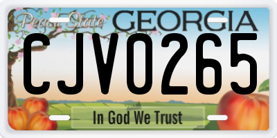 GA license plate CJV0265