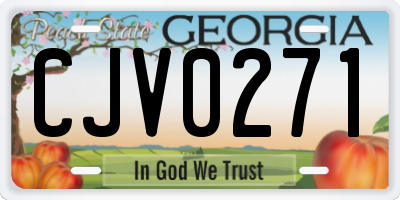 GA license plate CJV0271