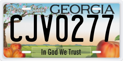 GA license plate CJV0277