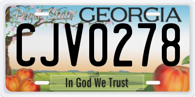 GA license plate CJV0278