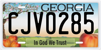 GA license plate CJV0285