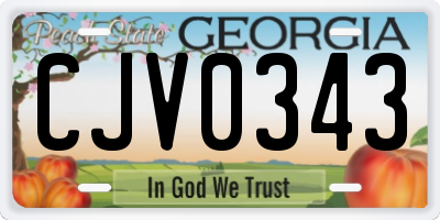 GA license plate CJV0343