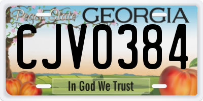 GA license plate CJV0384