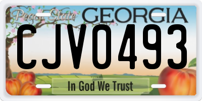 GA license plate CJV0493