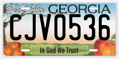 GA license plate CJV0536