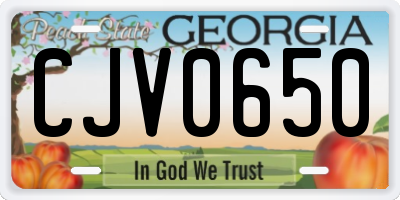 GA license plate CJV0650