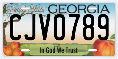 GA license plate CJV0789