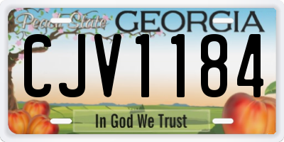 GA license plate CJV1184