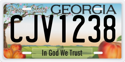 GA license plate CJV1238