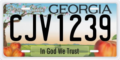 GA license plate CJV1239