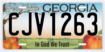 GA license plate CJV1263