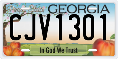 GA license plate CJV1301