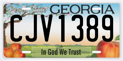 GA license plate CJV1389