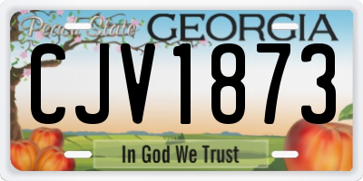 GA license plate CJV1873