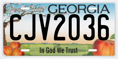 GA license plate CJV2036