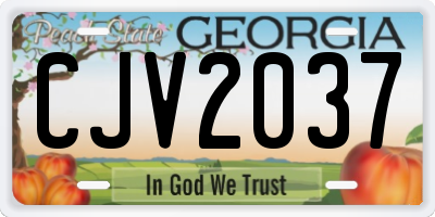 GA license plate CJV2037