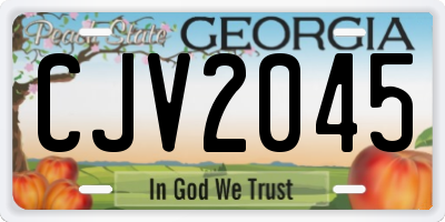 GA license plate CJV2045