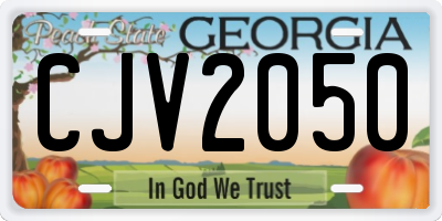 GA license plate CJV2050