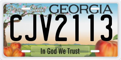 GA license plate CJV2113