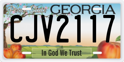 GA license plate CJV2117