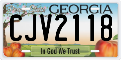GA license plate CJV2118