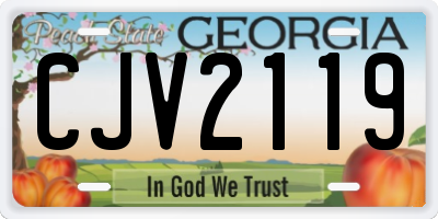 GA license plate CJV2119