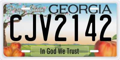 GA license plate CJV2142