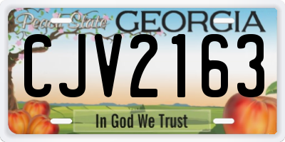 GA license plate CJV2163