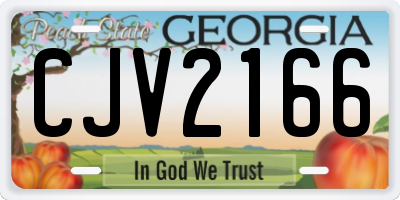 GA license plate CJV2166