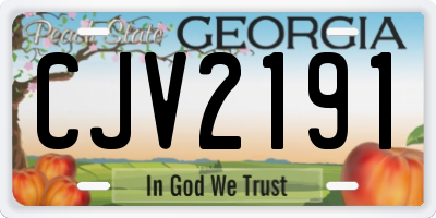 GA license plate CJV2191
