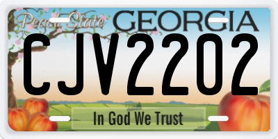 GA license plate CJV2202