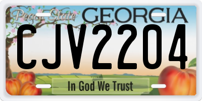 GA license plate CJV2204