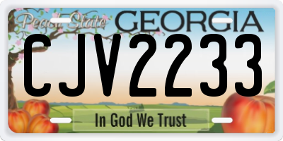 GA license plate CJV2233