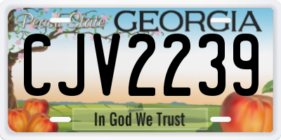 GA license plate CJV2239