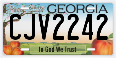 GA license plate CJV2242