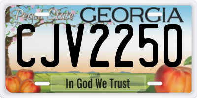 GA license plate CJV2250