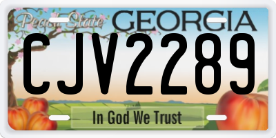 GA license plate CJV2289