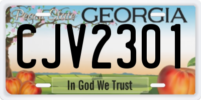 GA license plate CJV2301